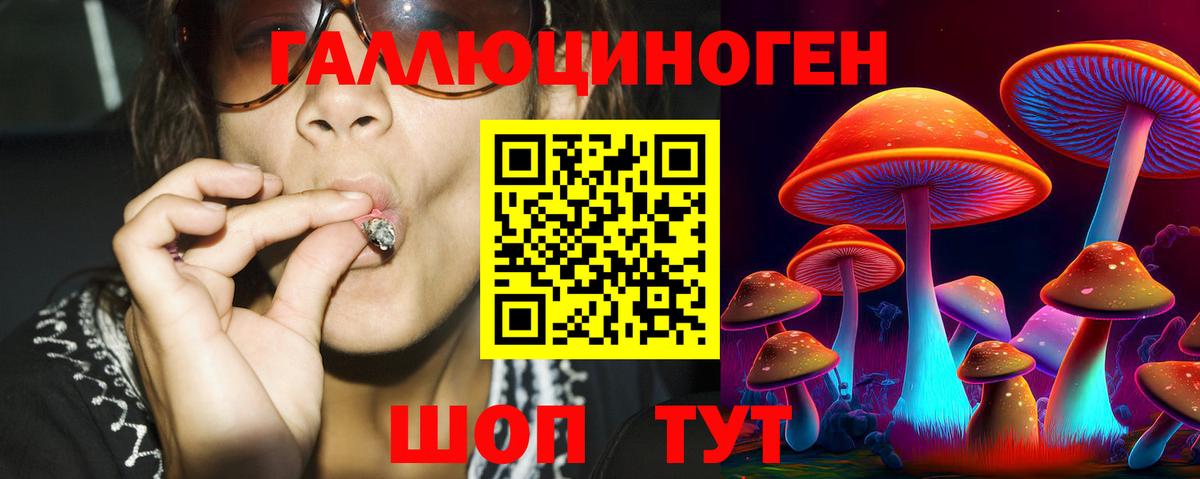 где купить   Вход с VPN  Рубцовск  Псилоцибиновые грибы мицелий 