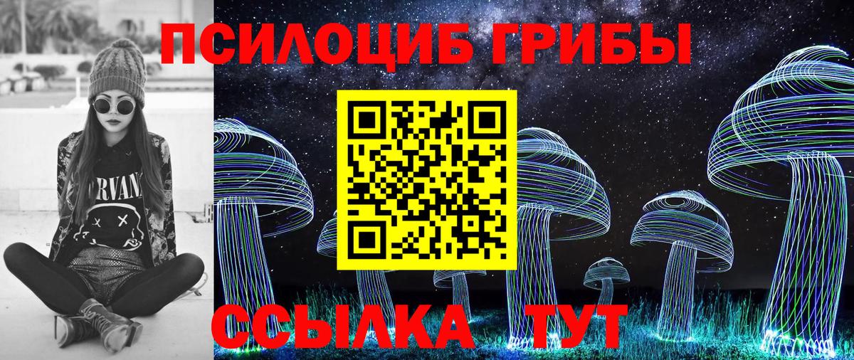 Галлюциногенные грибы GOLDEN TEACHER Рубцовск
